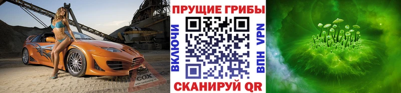Галлюциногенные грибы Cubensis  купить  сайты  Переславль-Залесский 